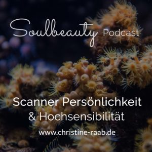 Scanner Persönlichkeit Hochsensibilität Christine Raab