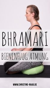 bhramari, bienenflug, bienen, hummel, atmung, pranayama, atemtechnik