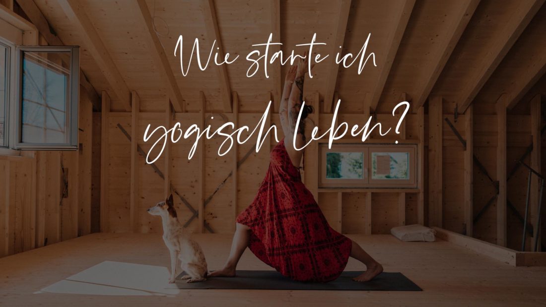 Titelbild zum Blogbeitrag Wie starte ich yogisch zu leben Christine Raab macht mit Hund eine Yogapose