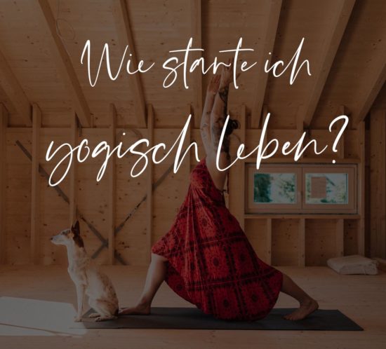 Titelbild zum Blogbeitrag Wie starte ich yogisch zu leben Christine Raab macht mit Hund eine Yogapose