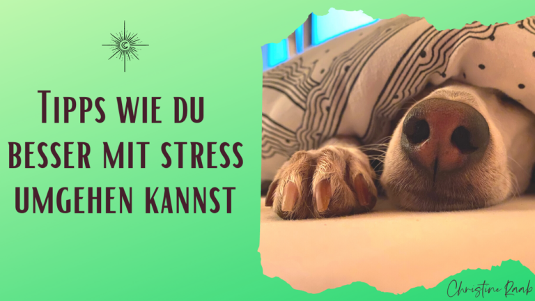 Podcast Titelbild zu Tipps wie du besser mit Stress umgehen kannst. Der Text steht auf grünem Hintergrund und es ist ein Bild von einer Hundeschnauze unter der Decke zu sehen