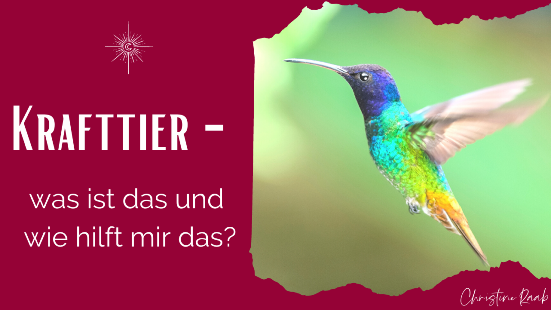 Krafttier Artikelbild für Podcast und Blogpost im Yogisch by Nature Podcast - du siehst einen Kolibri auf dem Foto und den Text mit dem Podcast Titel