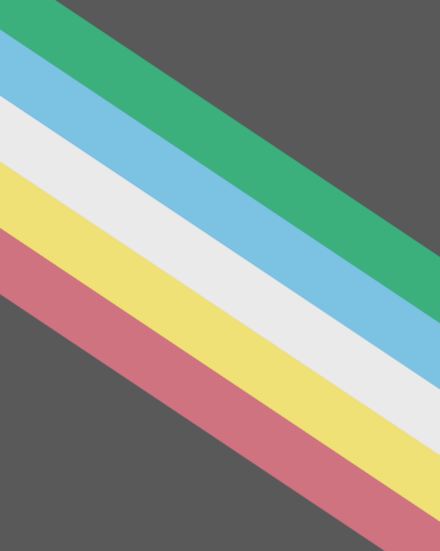 Disability Pride Flag mit Erklärung wofür die Farben stehen: Grün für Sinnesbehinderungen, Blau für psychische Erkrankungen, weß für unsichtbare oder undiagnostizierte Behinderungen, Gelb für Neurodiversität und Rot für Körperbehinderungen. Der schwarze Hintergrund steht für Trauer und Wut wegen Gewalt und Missbrauch an Behinderten.